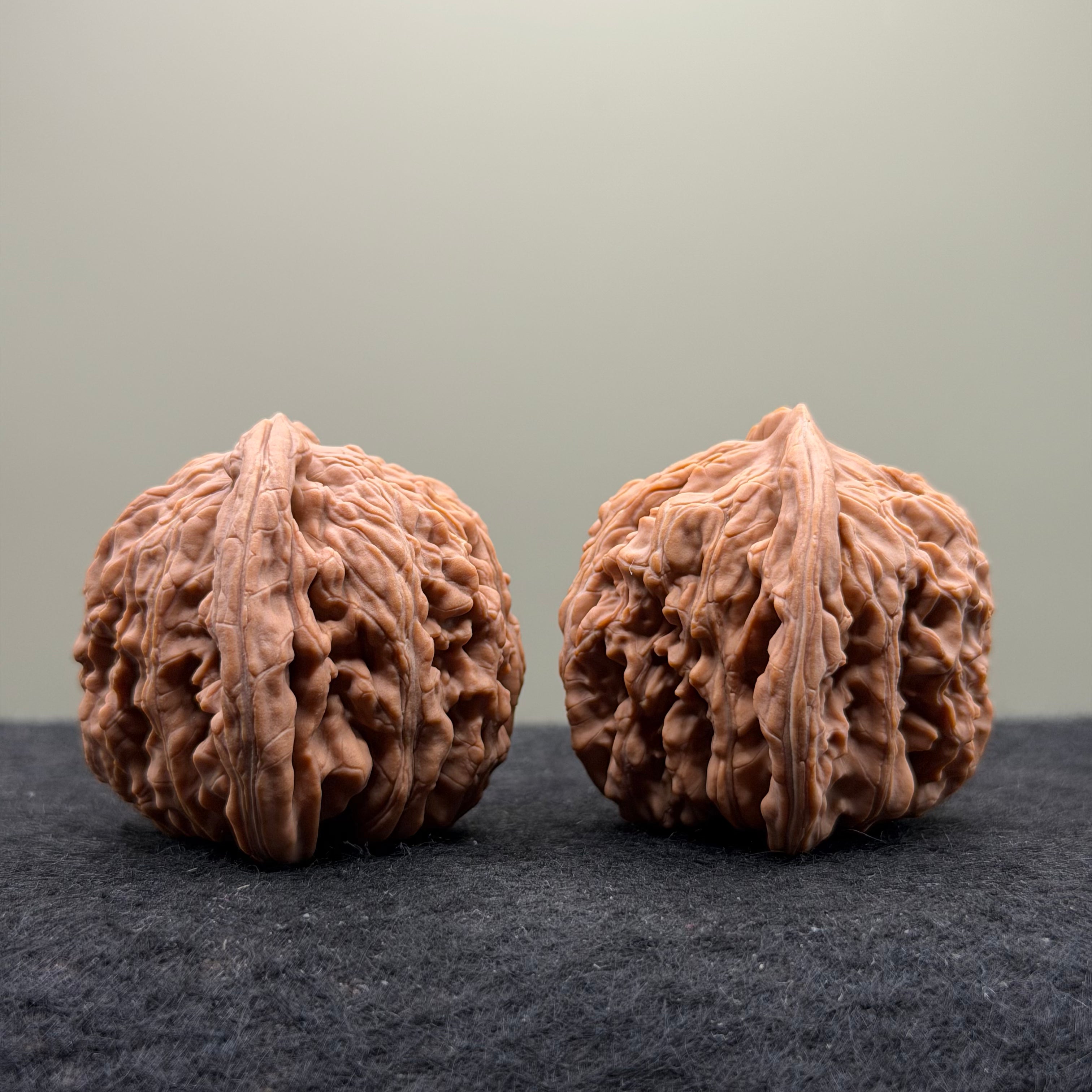 Four Towers Wenwan Walnut