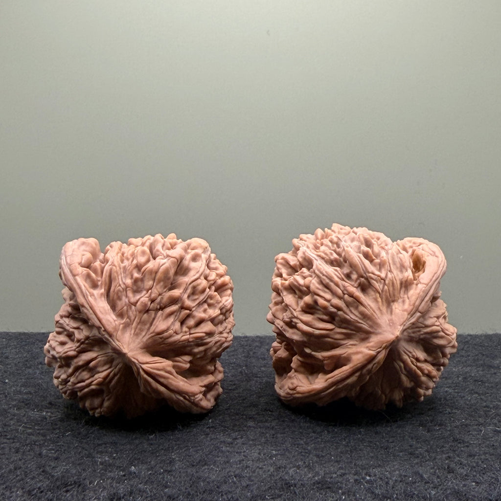 Four Towers Wenwan Walnut