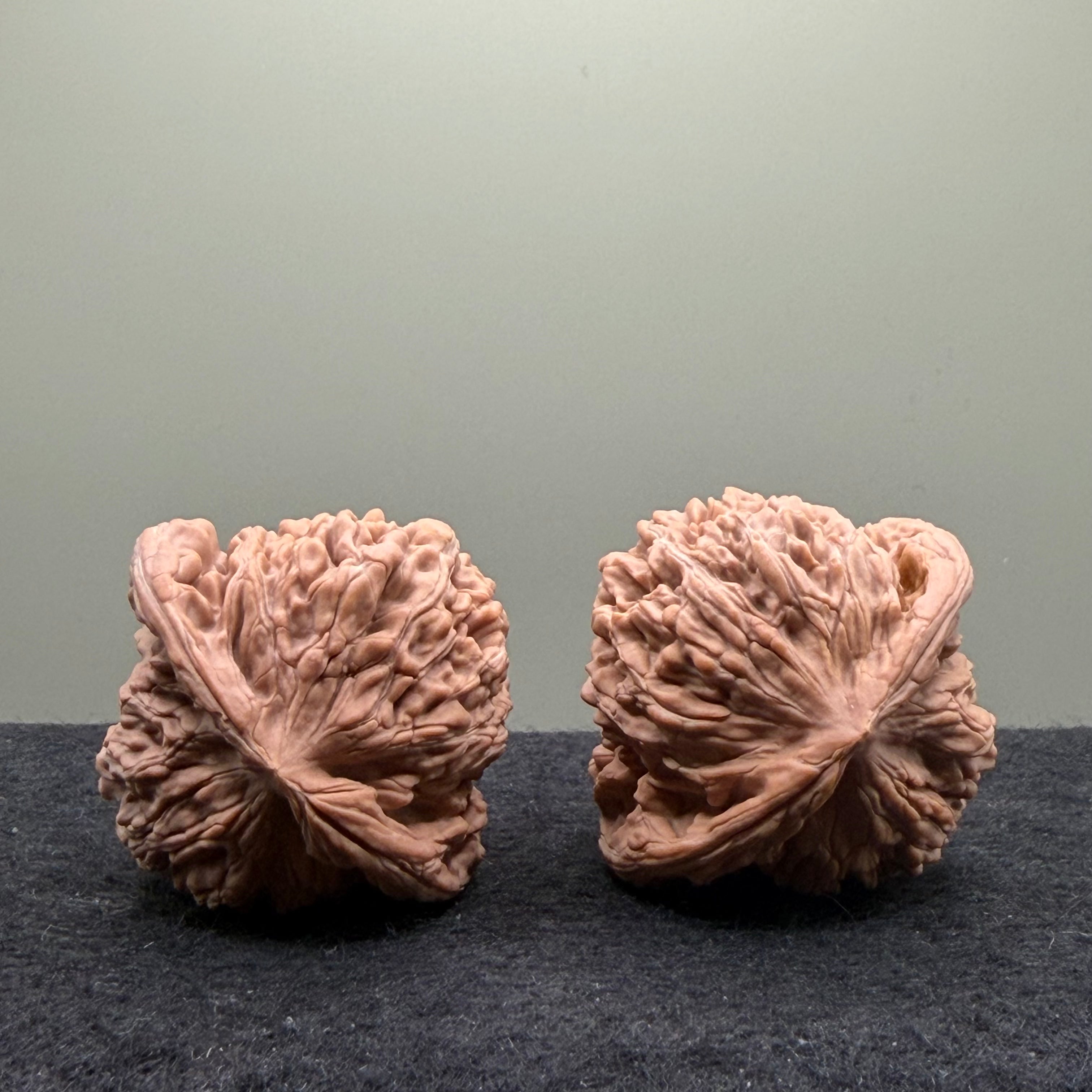 Four Towers Wenwan Walnut