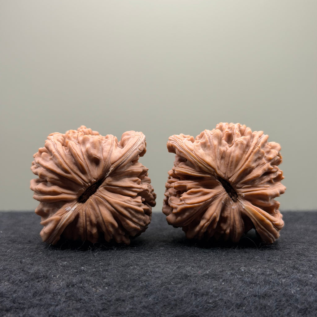 Four Towers Wenwan Walnut