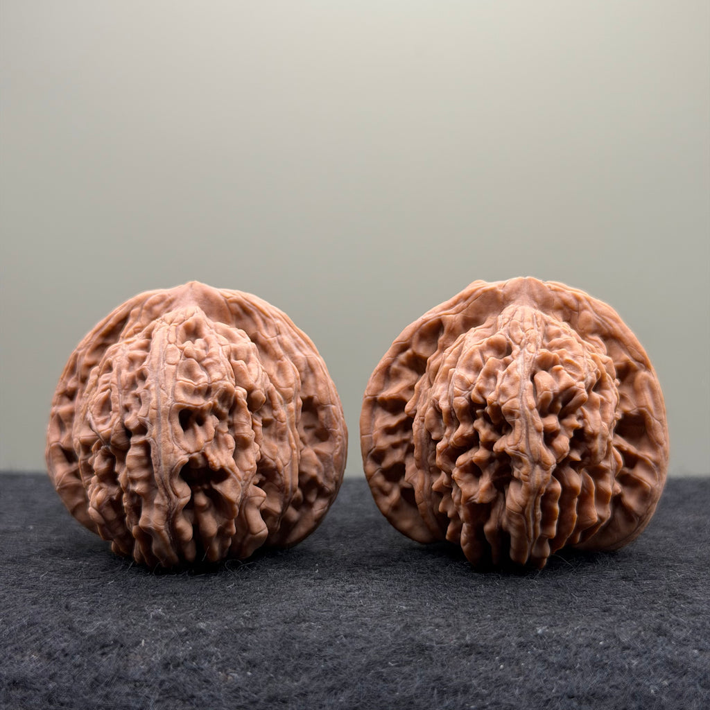Four Towers Wenwan Walnut
