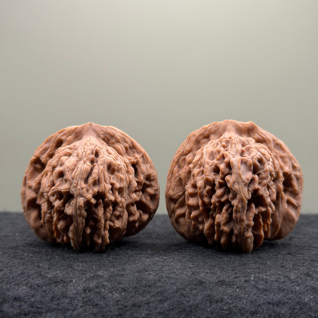 Four Towers Wenwan Walnut