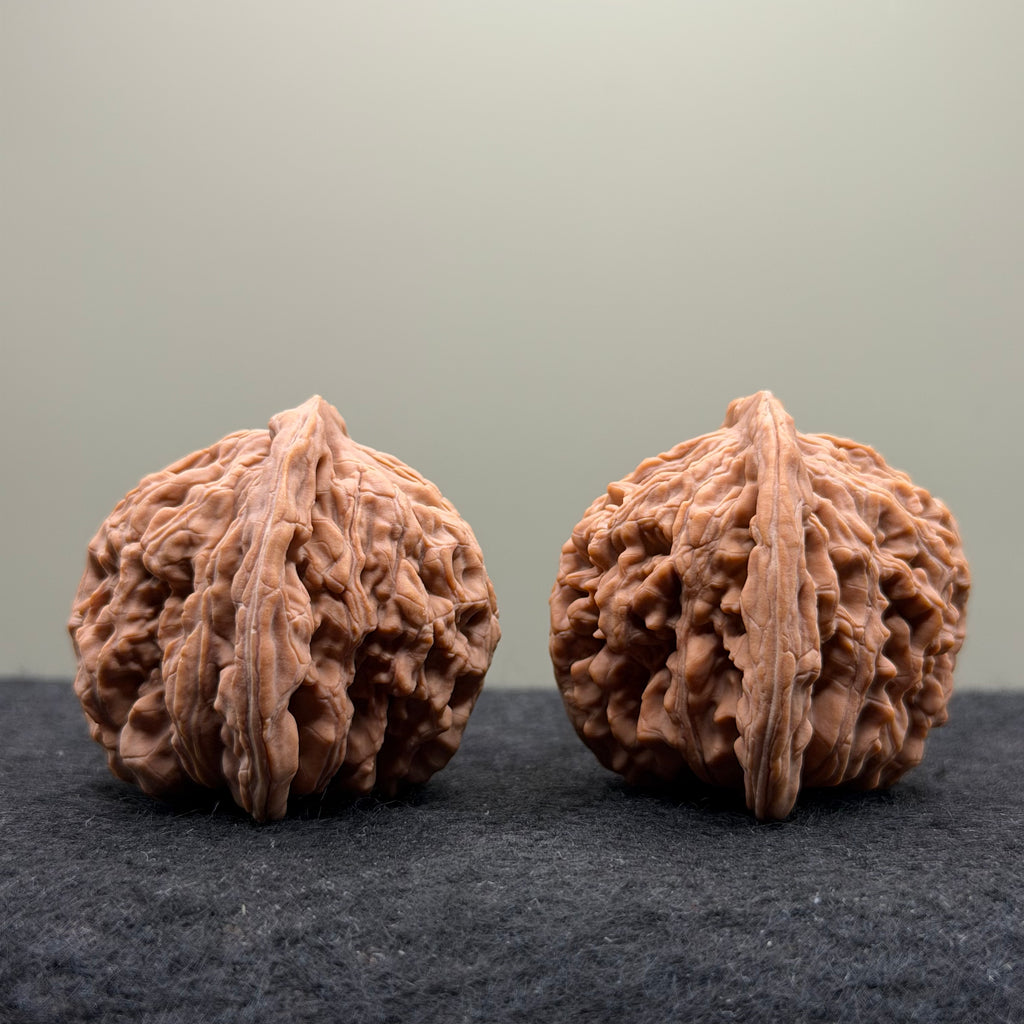 Four Towers Wenwan Walnut