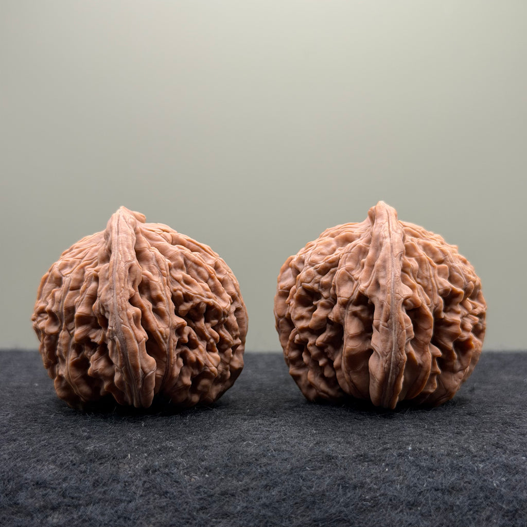 Four Towers Wenwan Walnut