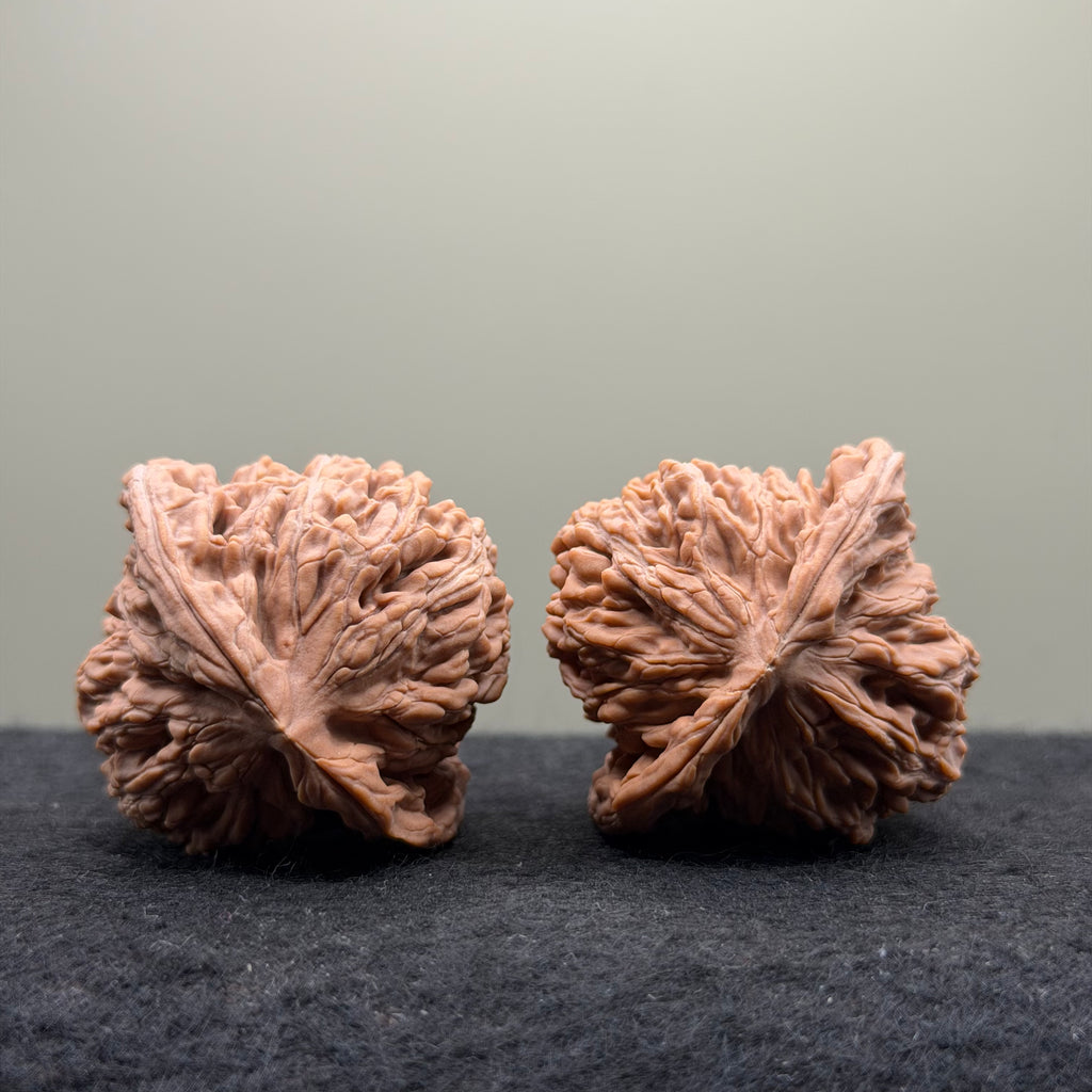 Four Towers Wenwan Walnut