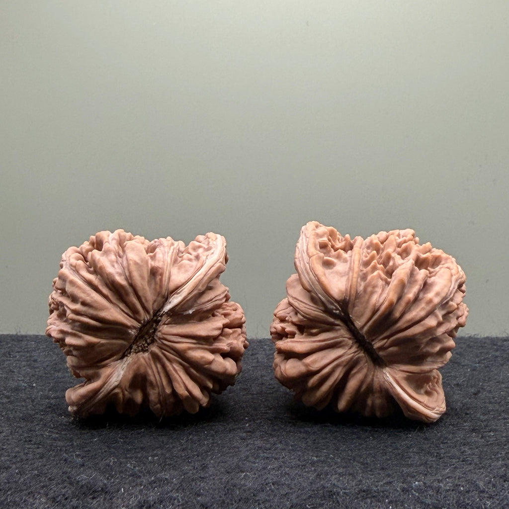 Four Towers Wenwan Walnut