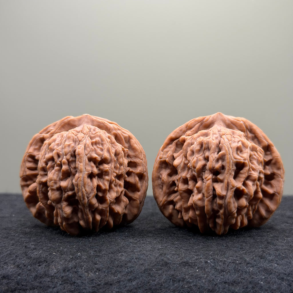 Four Towers Wenwan Walnut · 44mm · Natural · Select Ritual