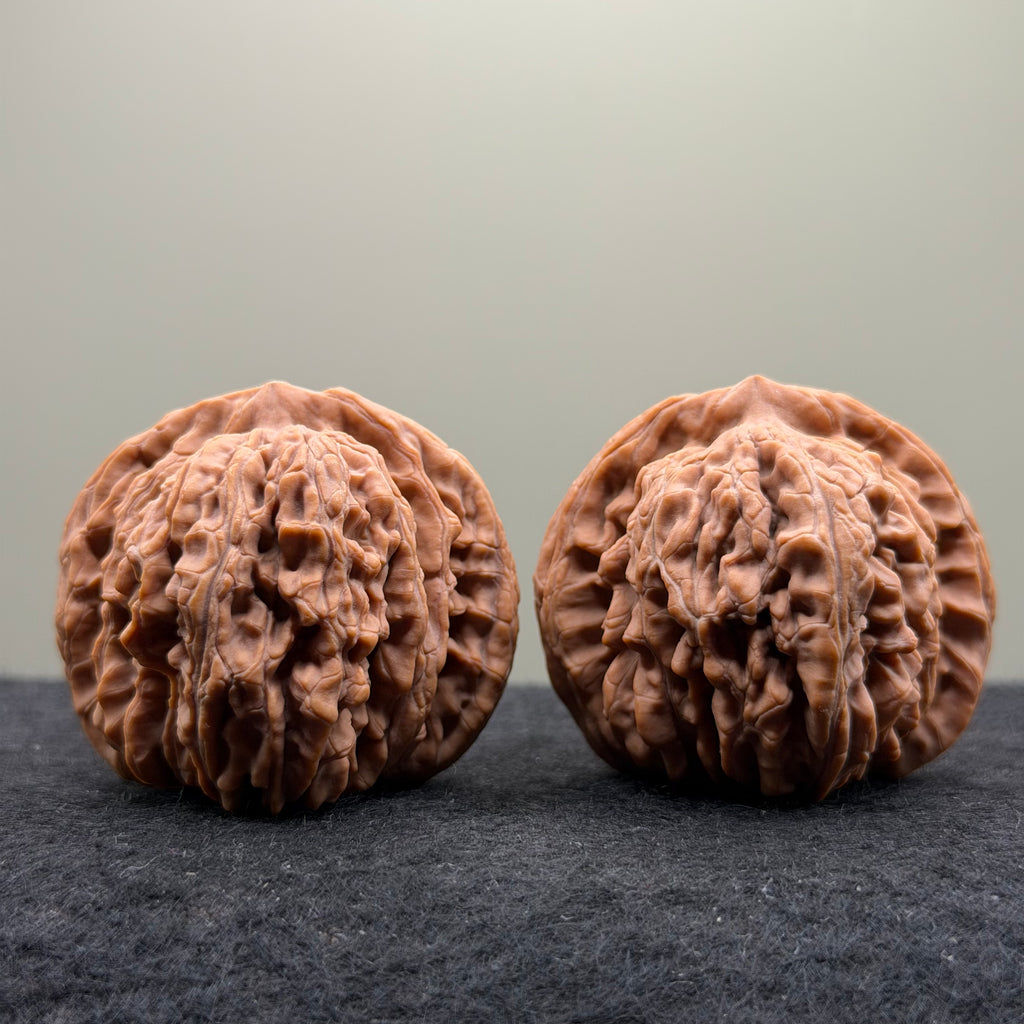 Four Towers Wenwan Walnut · 44mm · Natural · Select Ritual