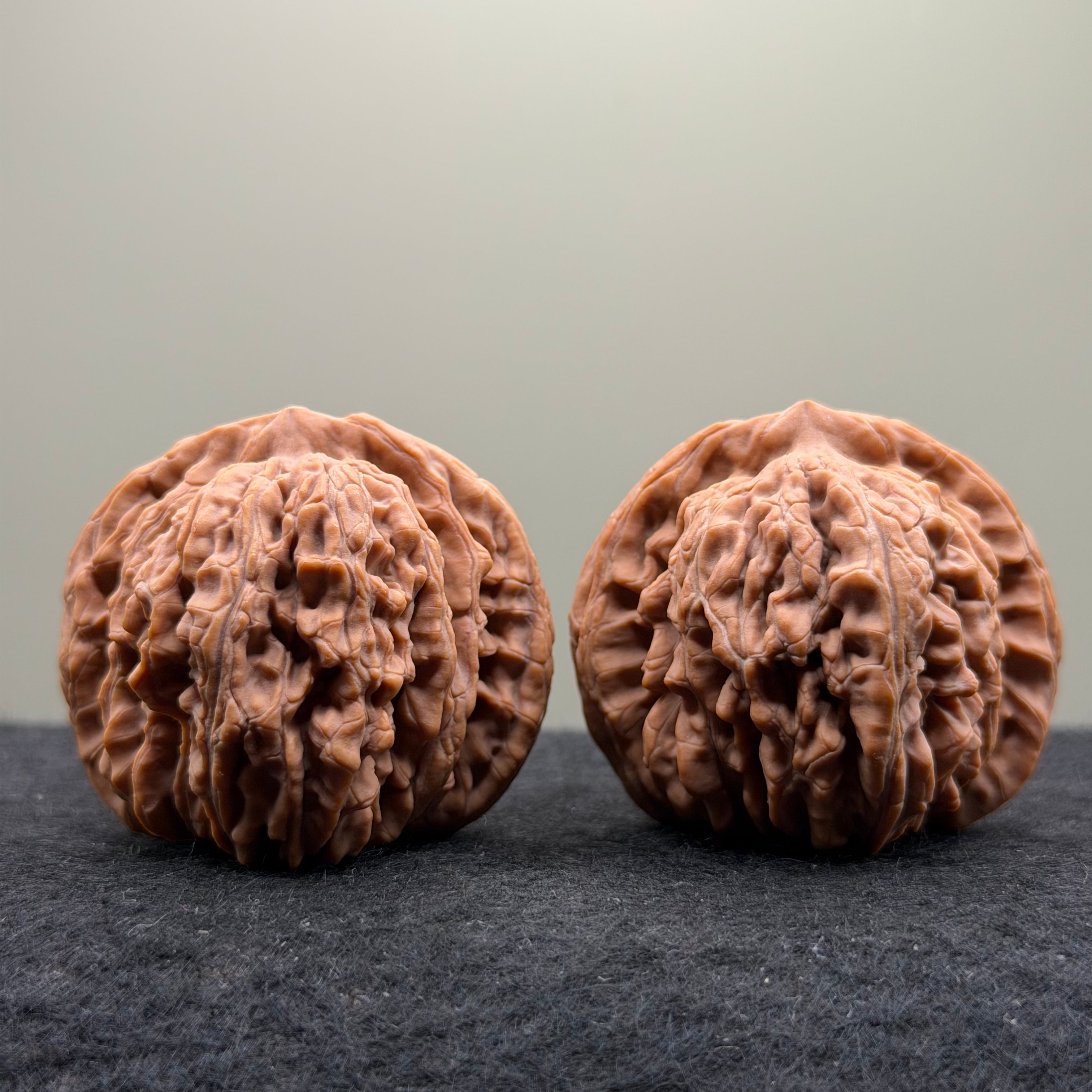 Four Towers Wenwan Walnut · 44mm · Natural · Select Ritual