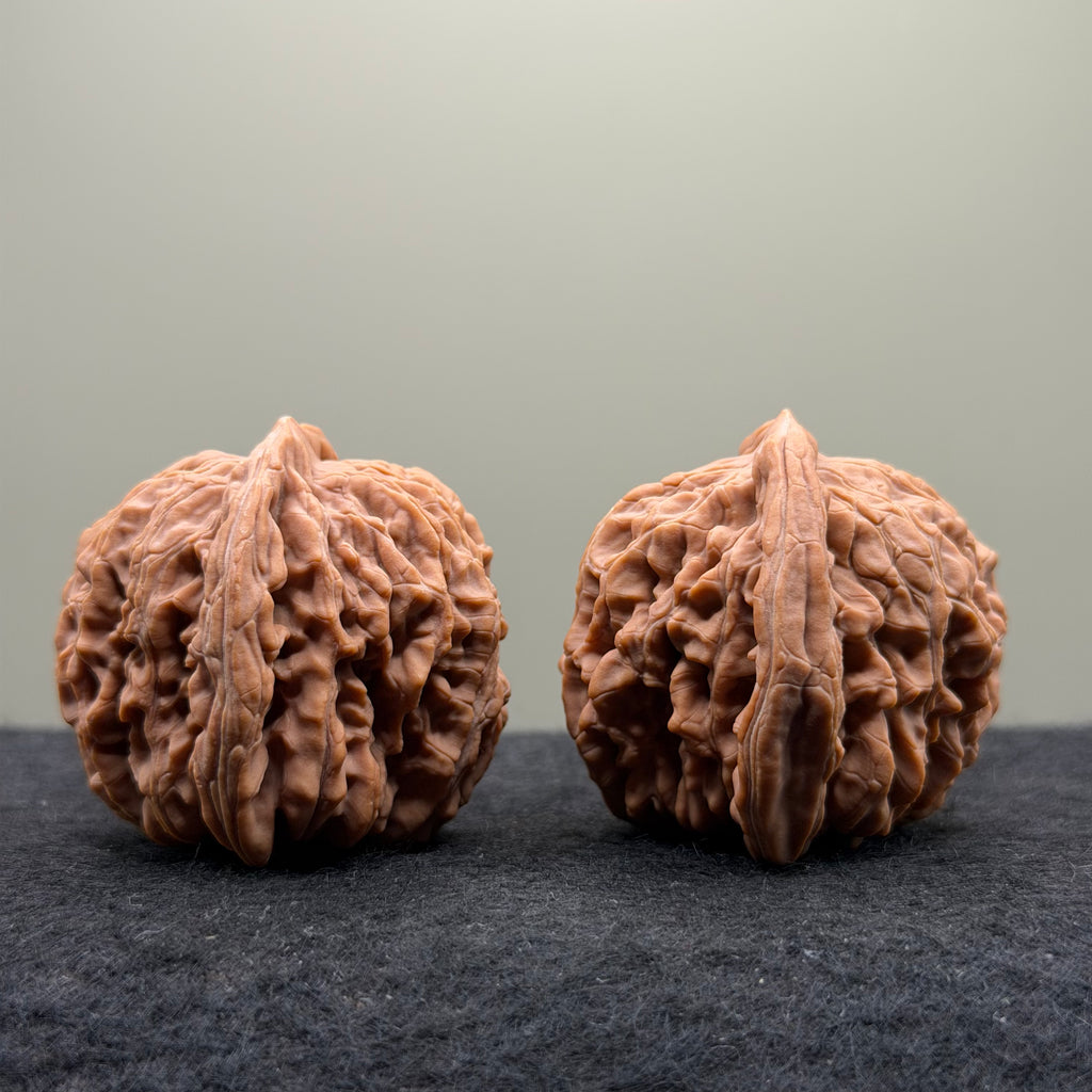 Four Towers Wenwan Walnut · 44mm · Natural · Select Ritual