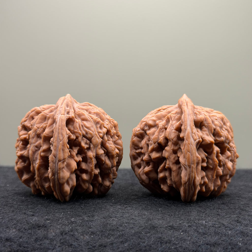 Four Towers Wenwan Walnut · 44mm · Natural · Select Ritual
