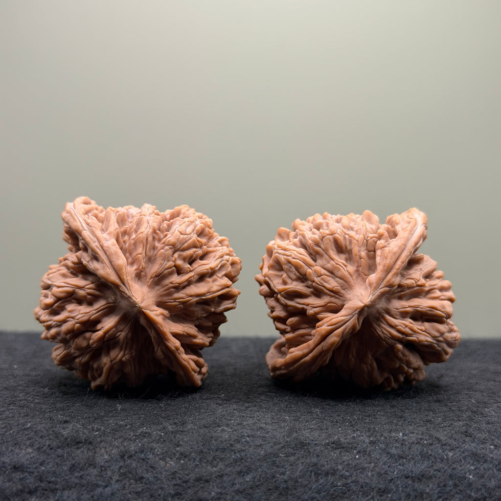 Four Towers Wenwan Walnut · 44mm · Natural · Select Ritual