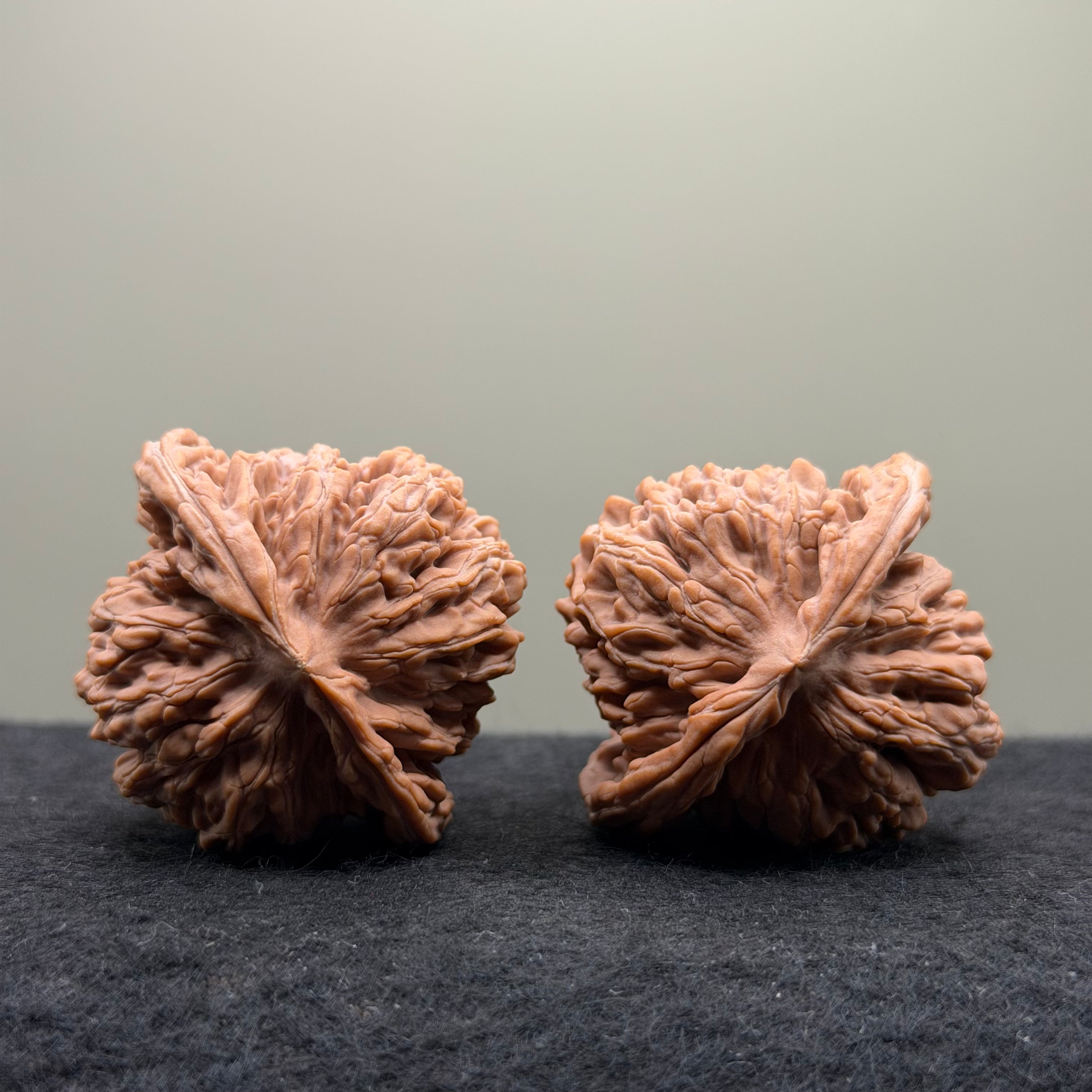 Four Towers Wenwan Walnut · 44mm · Natural · Select Ritual