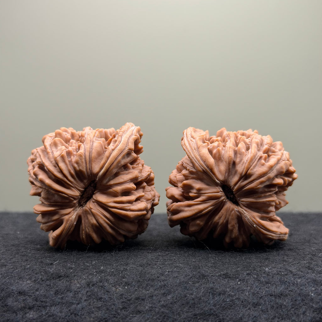 Four Towers Wenwan Walnut · 44mm · Natural · Select Ritual