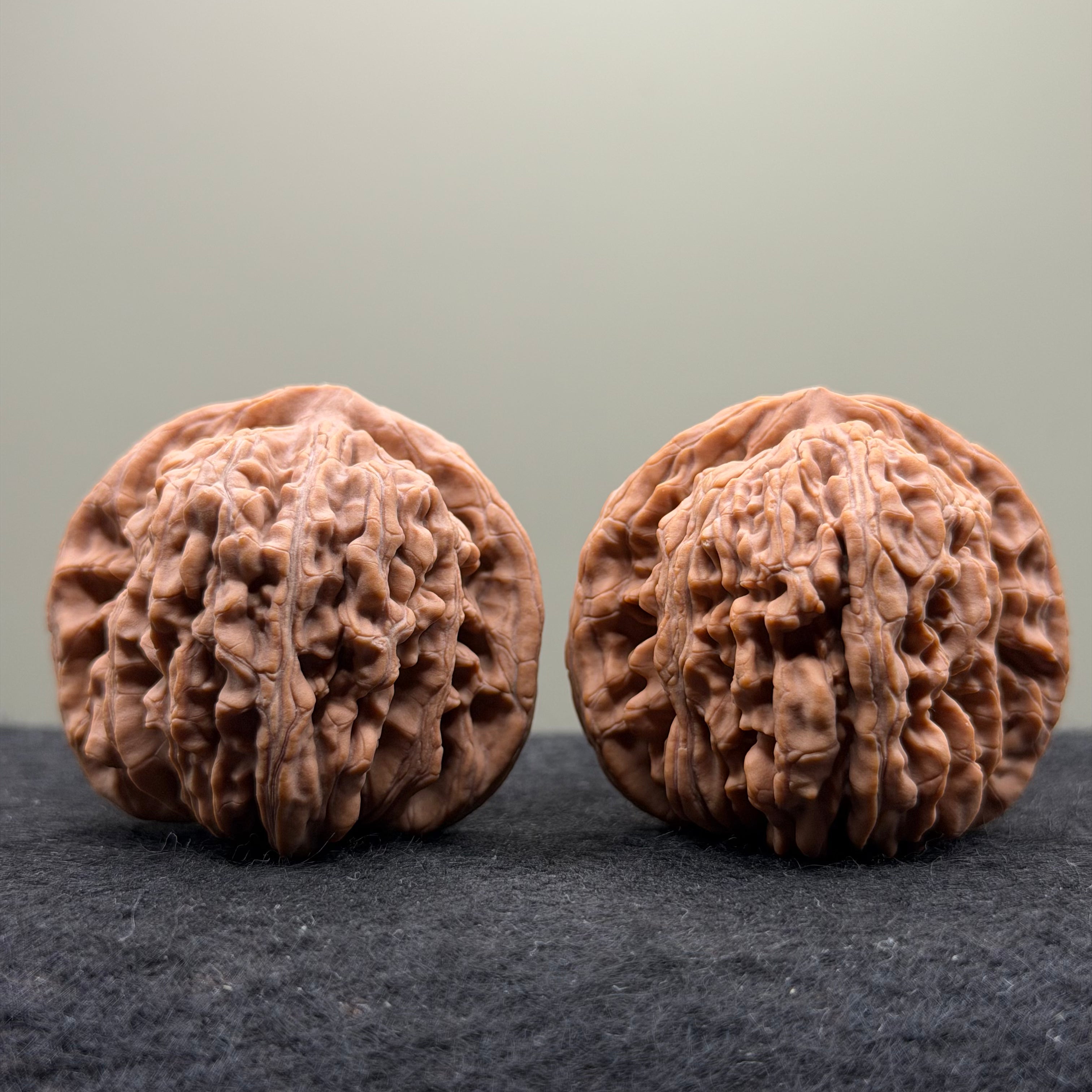 Four Towers Wenwan Walnut · 43mm · Natural · Select Ritual