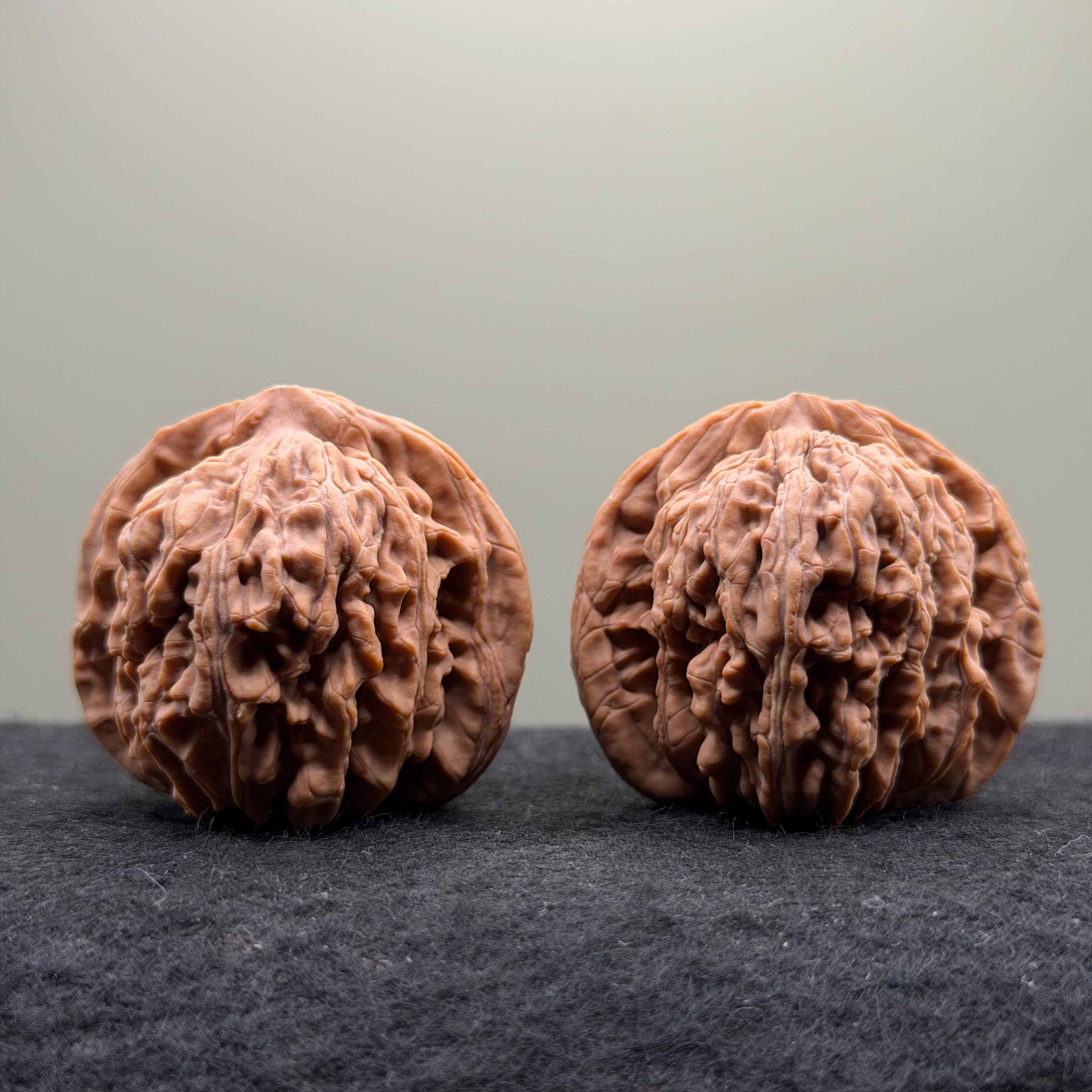 Four Towers Wenwan Walnut · 43mm · Natural · Select Ritual