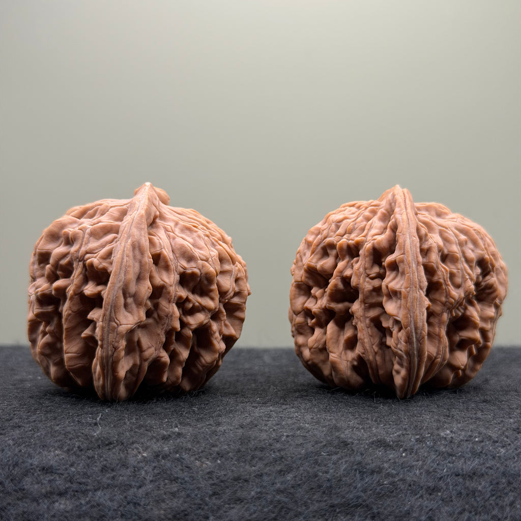 Four Towers Wenwan Walnut · 43mm · Natural · Select Ritual