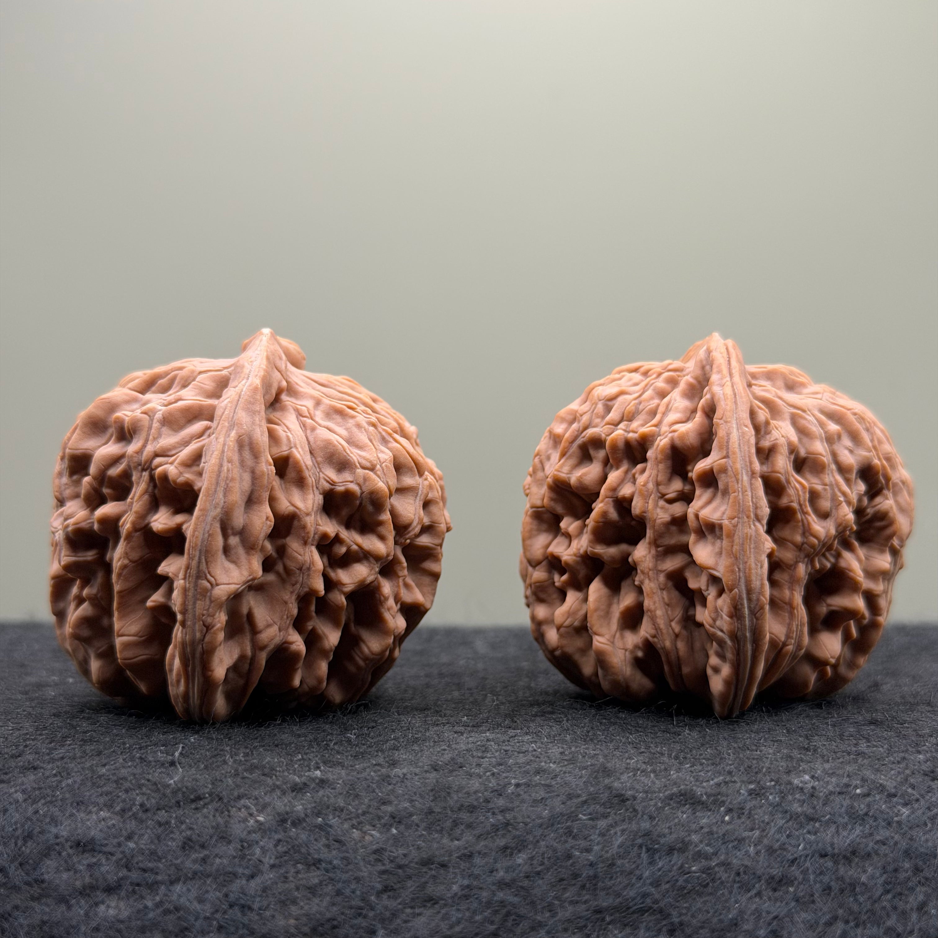 Four Towers Wenwan Walnut · 43mm · Natural · Select Ritual