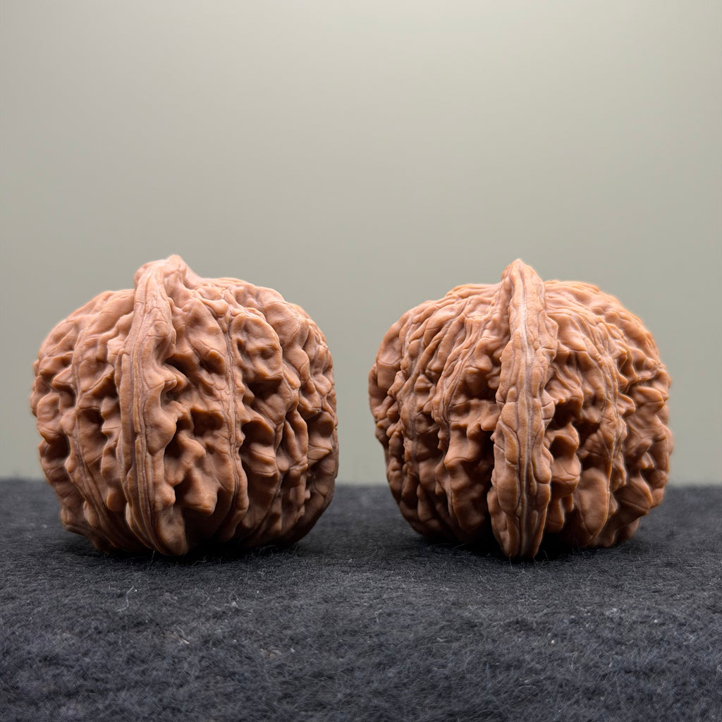 Four Towers Wenwan Walnut · 43mm · Natural · Select Ritual