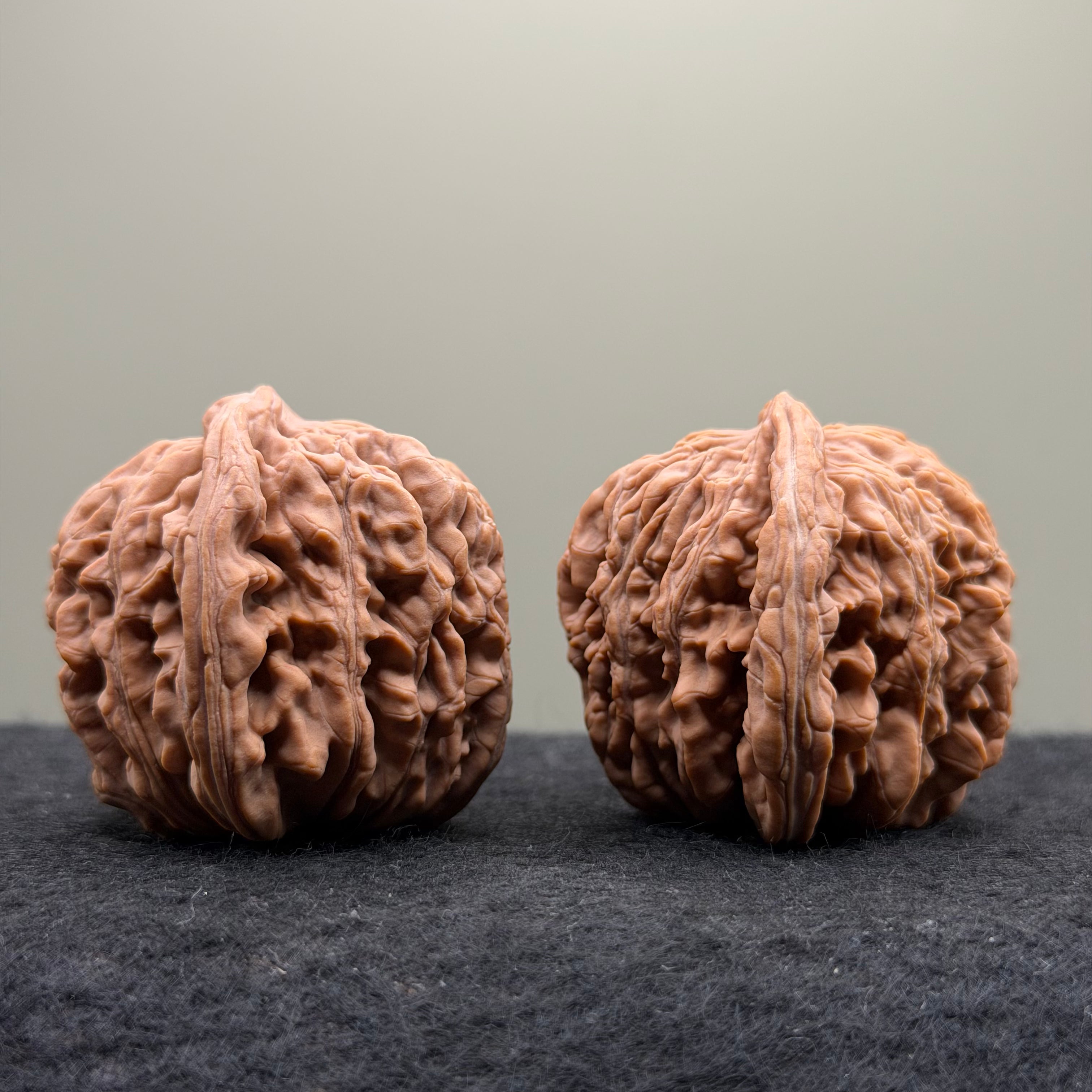 Four Towers Wenwan Walnut · 43mm · Natural · Select Ritual