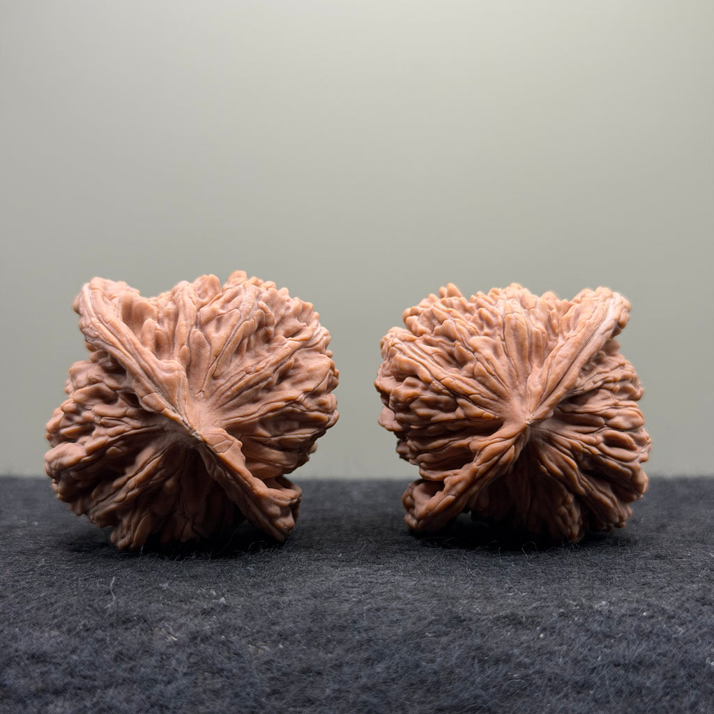 Four Towers Wenwan Walnut · 43mm · Natural · Select Ritual
