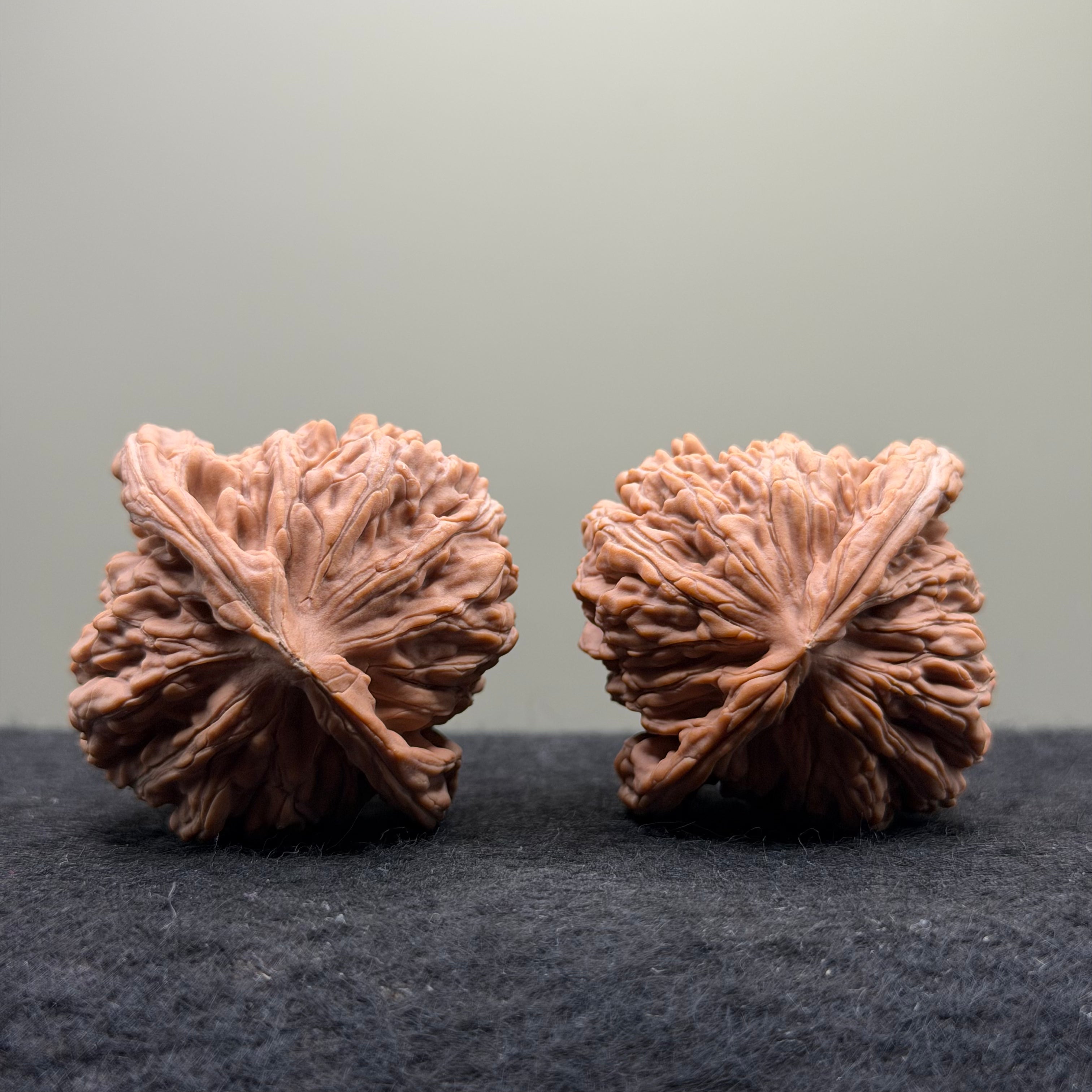 Four Towers Wenwan Walnut · 43mm · Natural · Select Ritual
