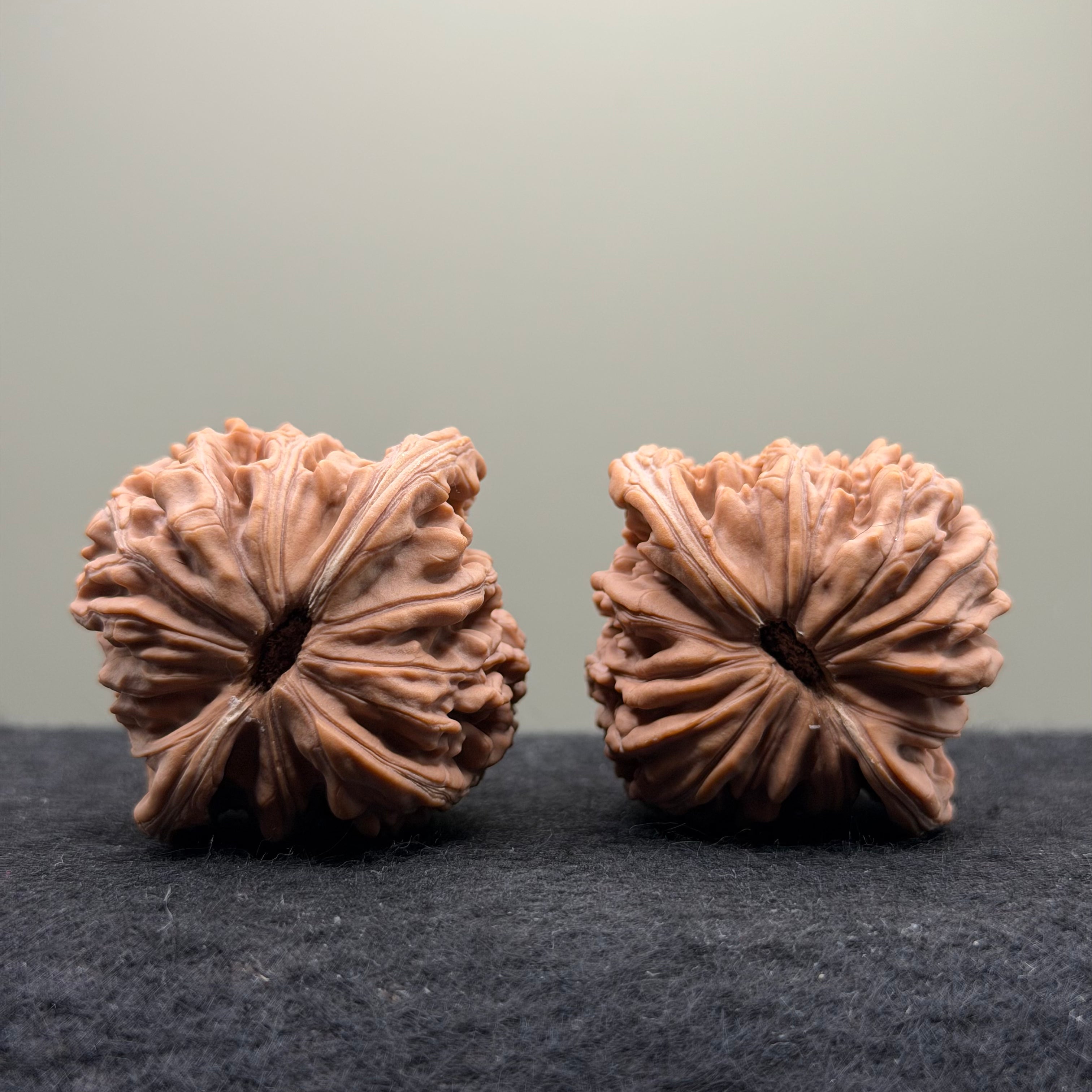 Four Towers Wenwan Walnut · 43mm · Natural · Select Ritual