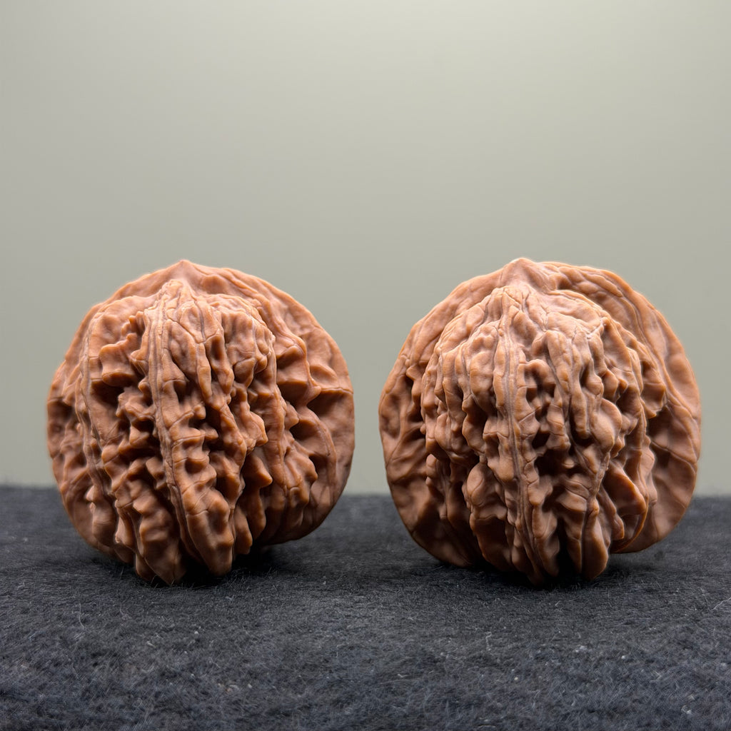 Four Towers Wenwan Walnut · 47mm · Natural · Select Ritual