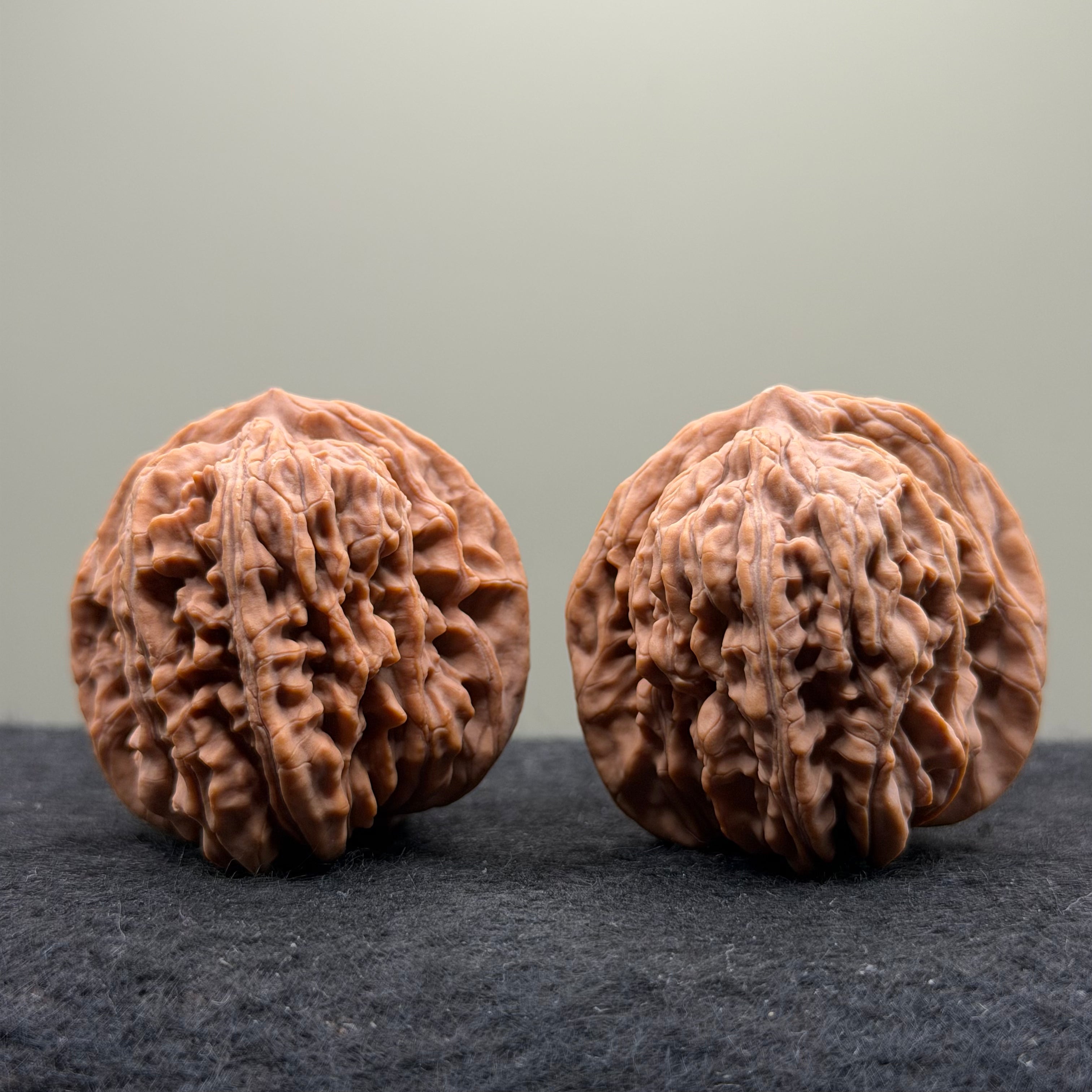 Four Towers Wenwan Walnut · 47mm · Natural · Select Ritual