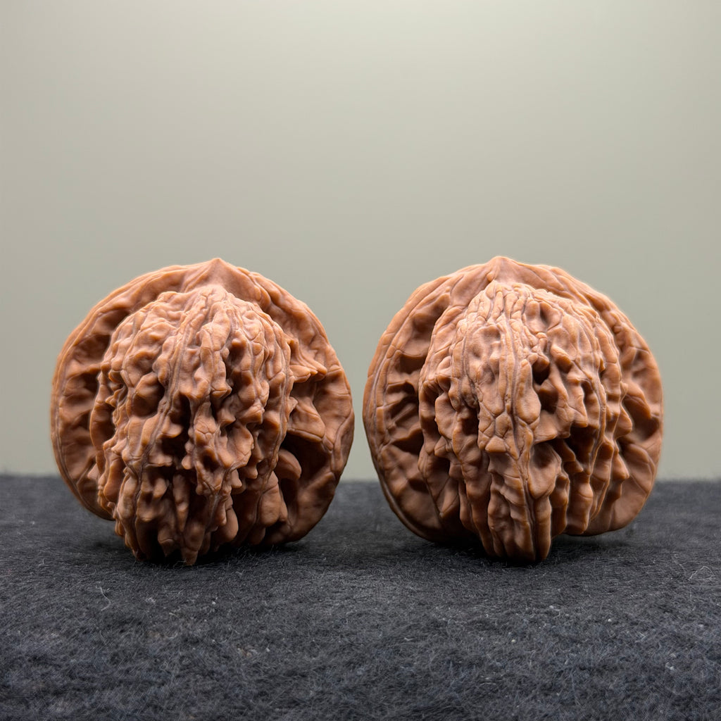 Four Towers Wenwan Walnut · 47mm · Natural · Select Ritual