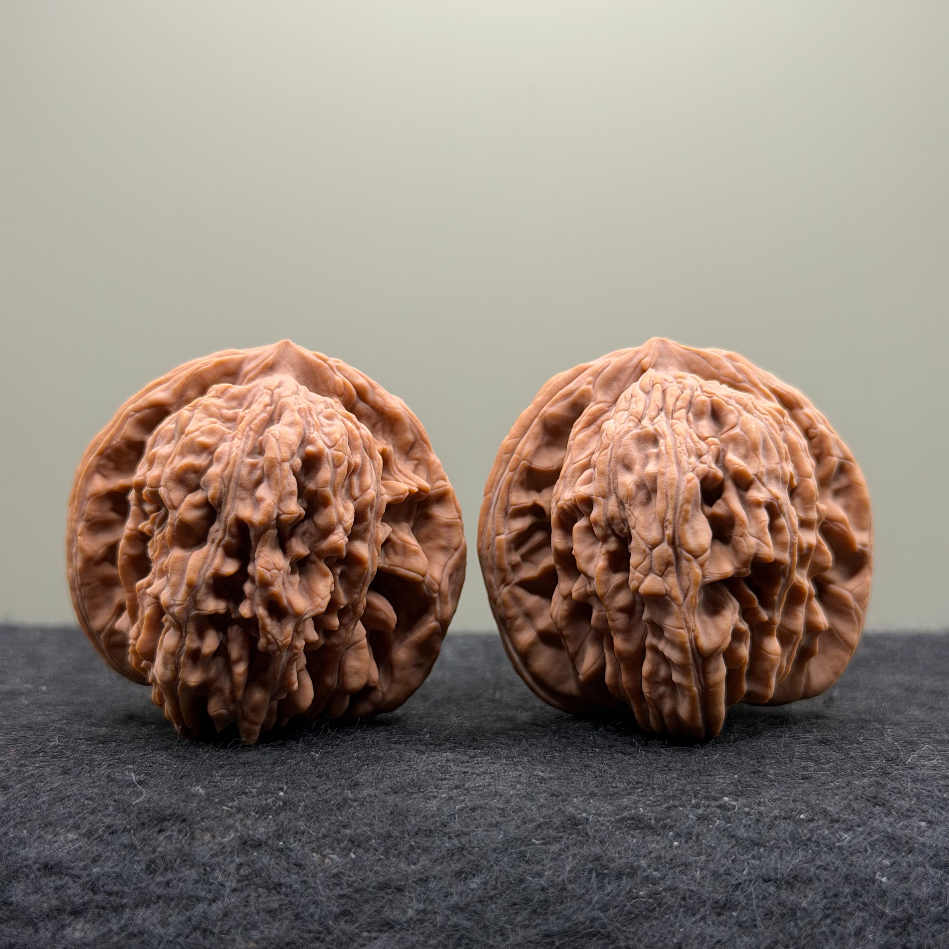 Four Towers Wenwan Walnut · 47mm · Natural · Select Ritual