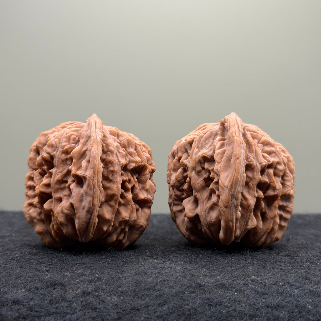 Four Towers Wenwan Walnut · 47mm · Natural · Select Ritual