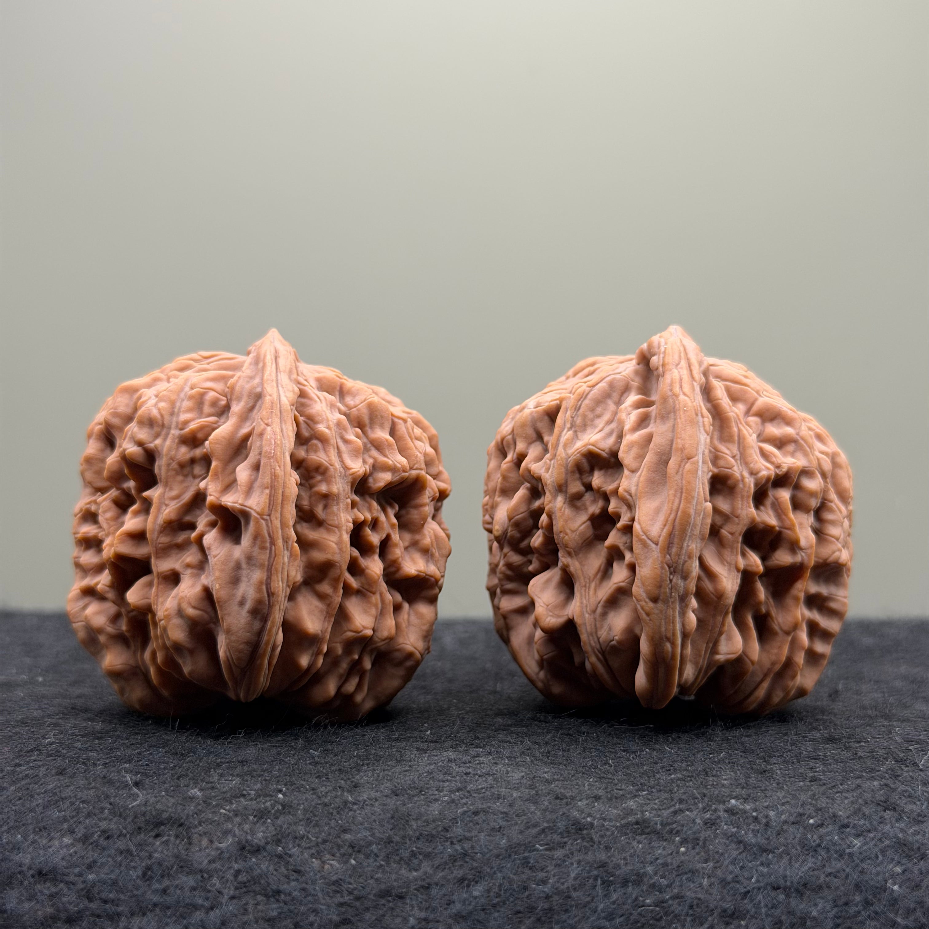 Four Towers Wenwan Walnut · 47mm · Natural · Select Ritual