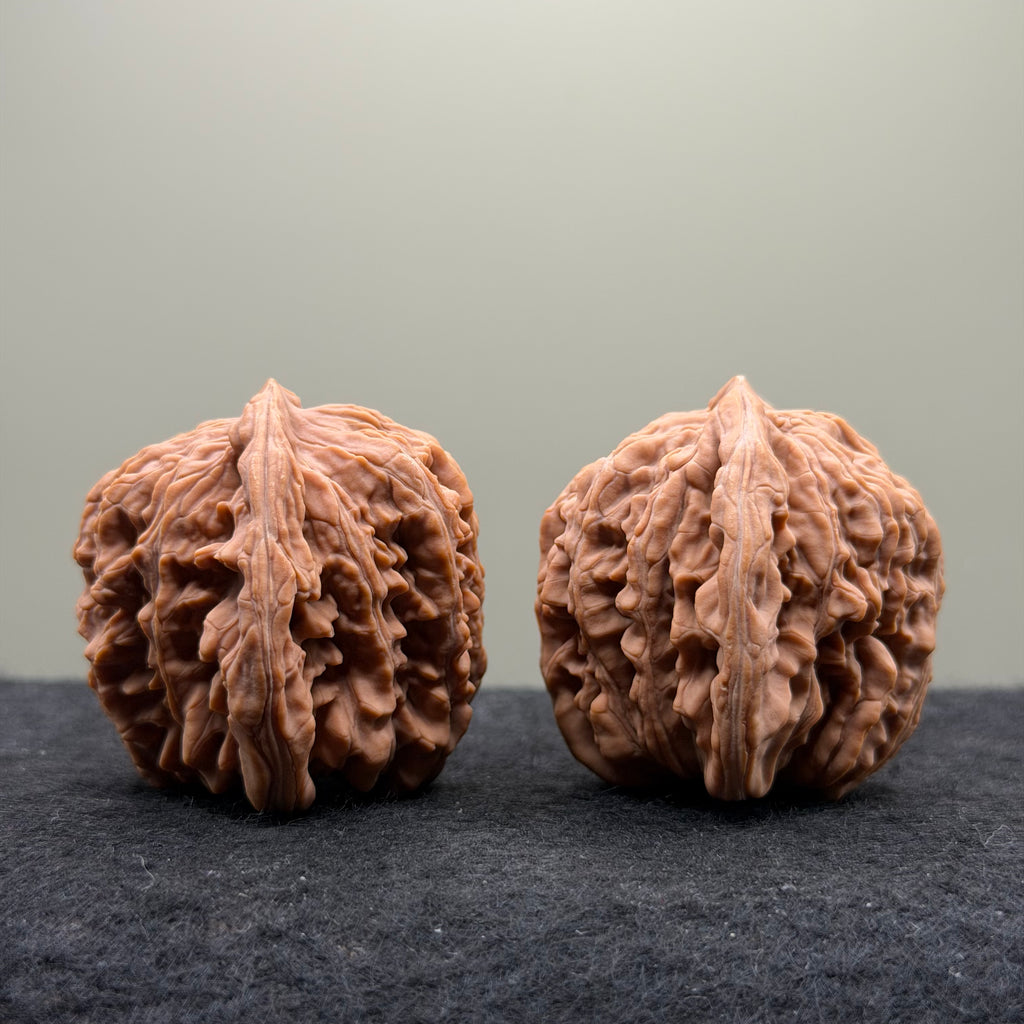 Four Towers Wenwan Walnut · 47mm · Natural · Select Ritual