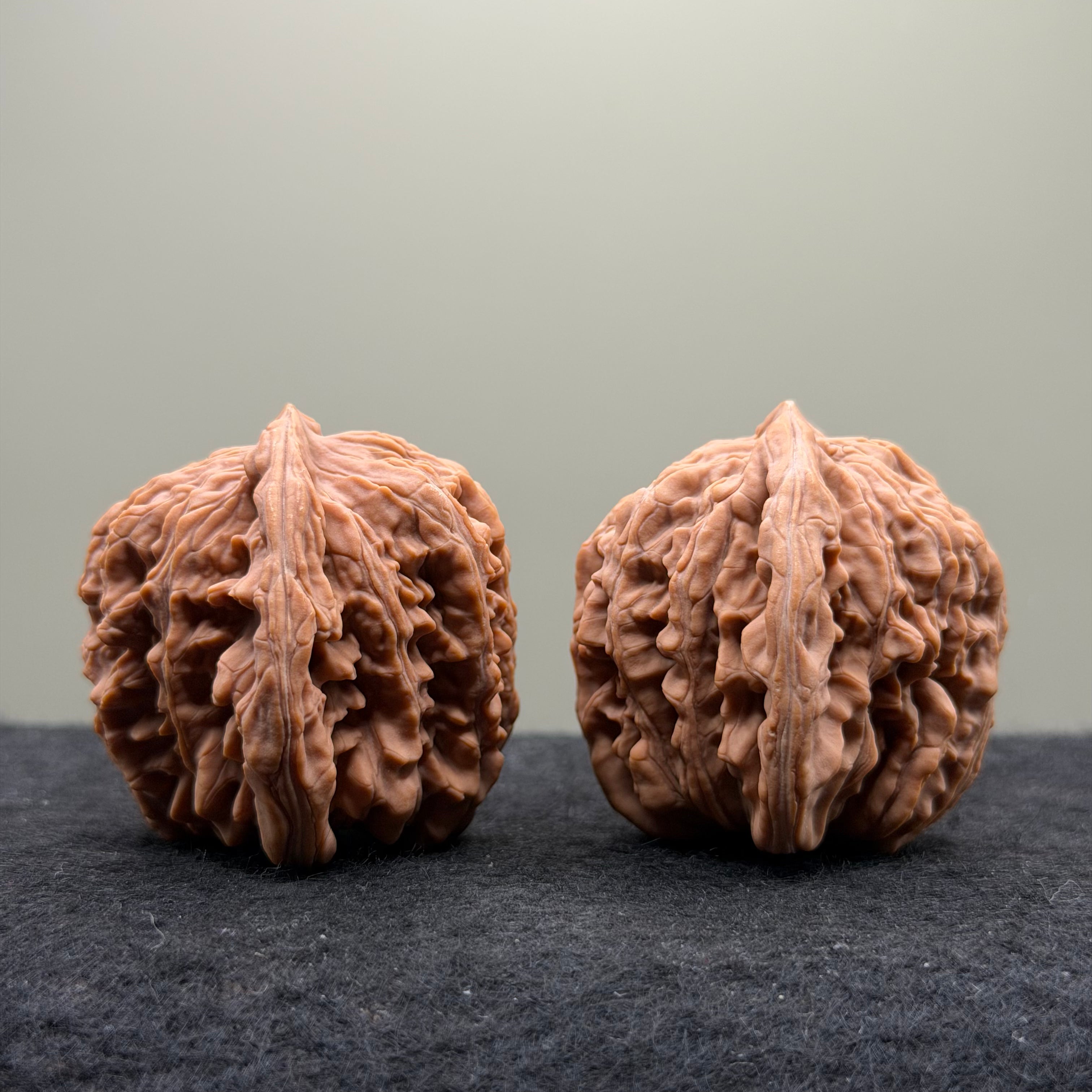 Four Towers Wenwan Walnut · 47mm · Natural · Select Ritual