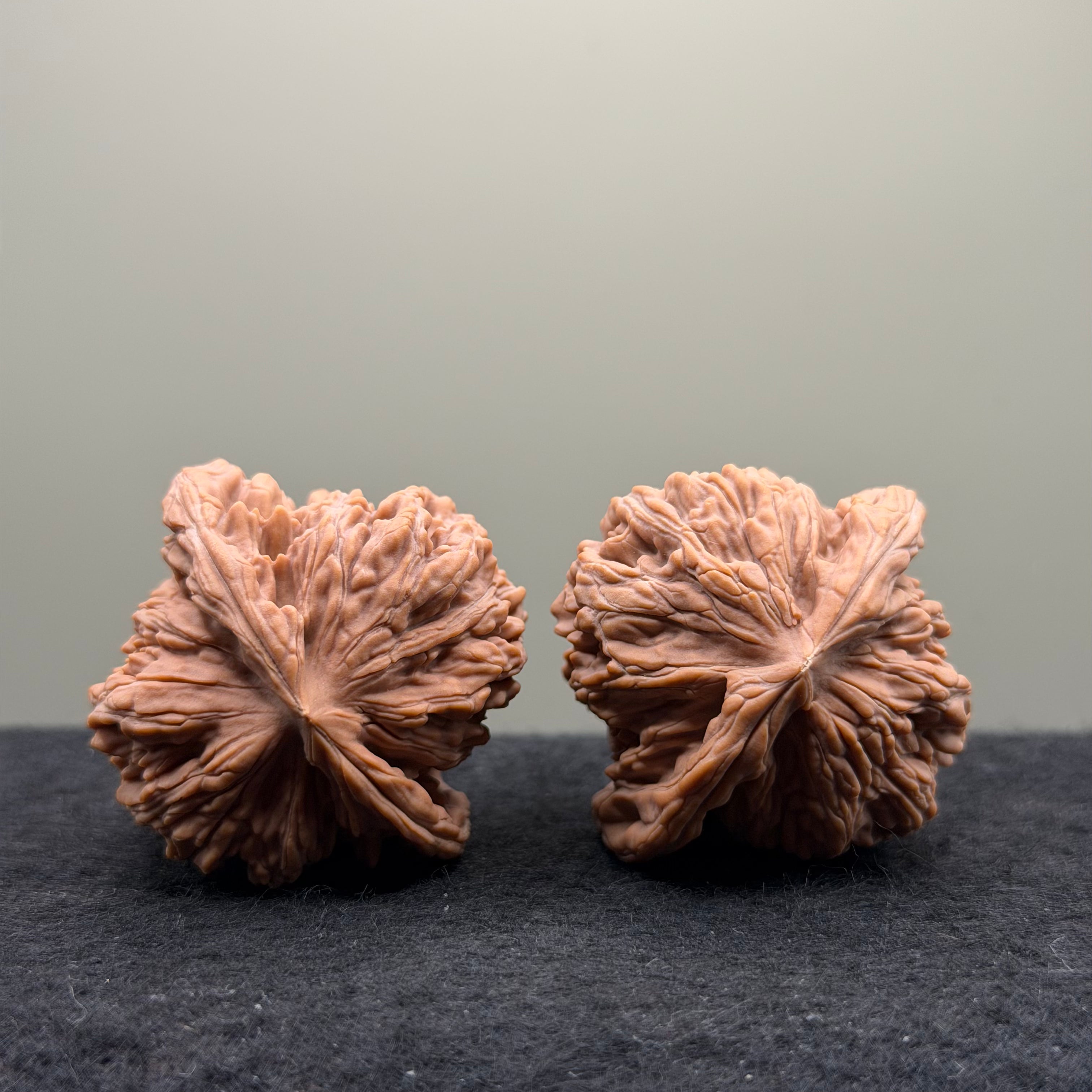 Four Towers Wenwan Walnut · 47mm · Natural · Select Ritual