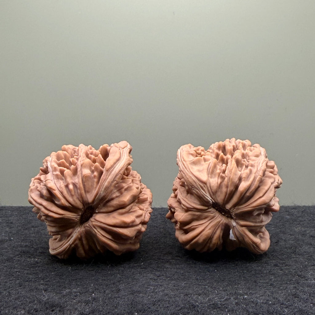 Four Towers Wenwan Walnut · 47mm · Natural · Select Ritual
