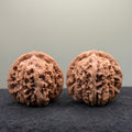 Four Towers Wenwan Walnut · 44mm · Natural · Premium Ritual
