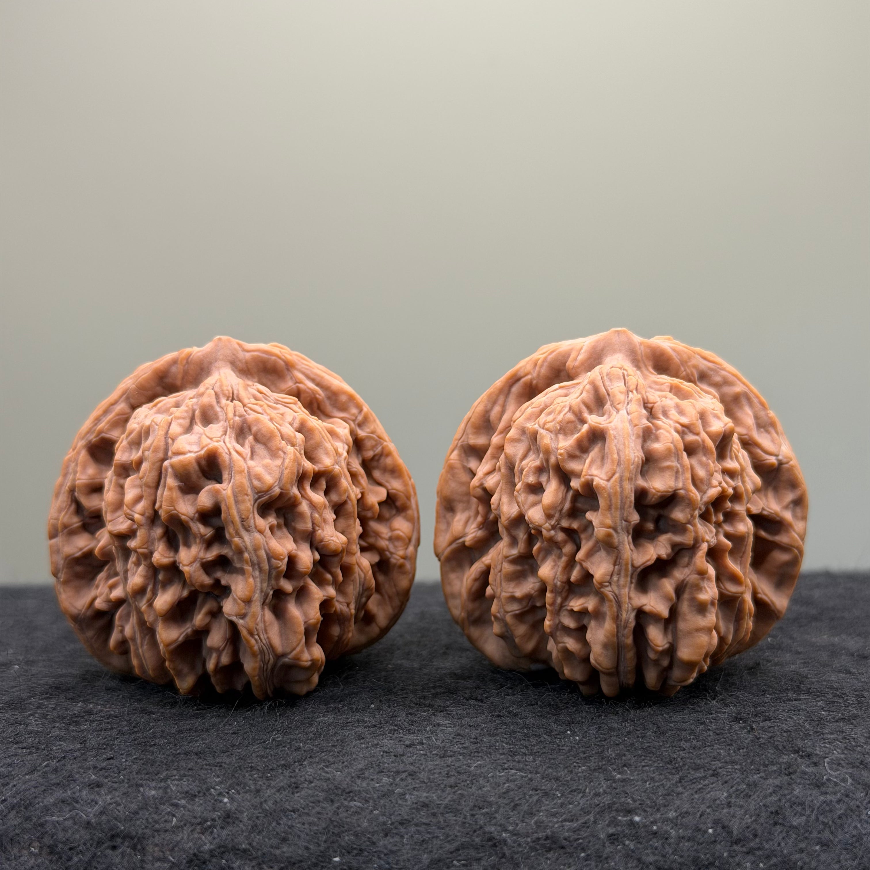 Four Towers Wenwan Walnut · 44mm · Natural · Premium Ritual