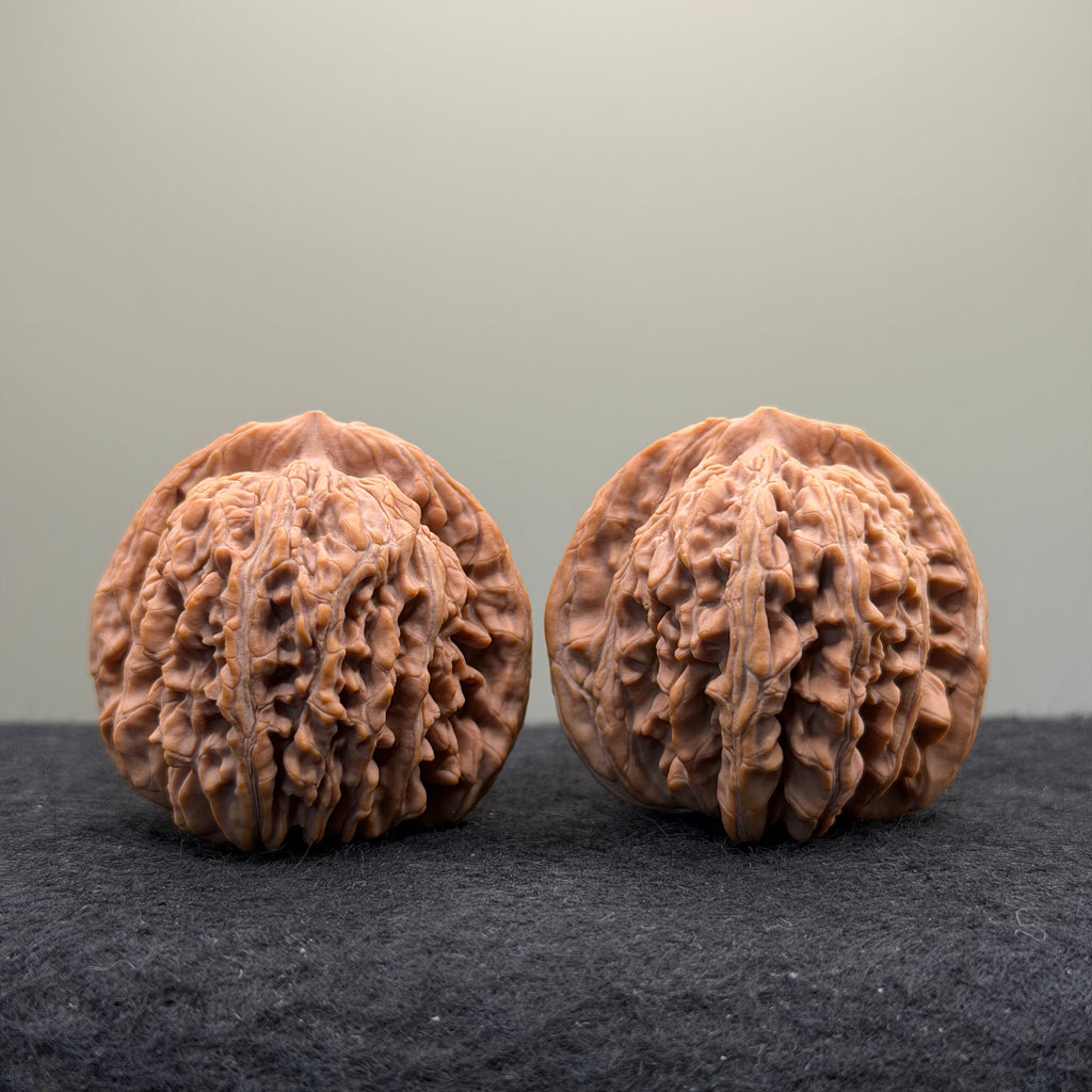 Four Towers Wenwan Walnut · 44mm · Natural · Premium Ritual