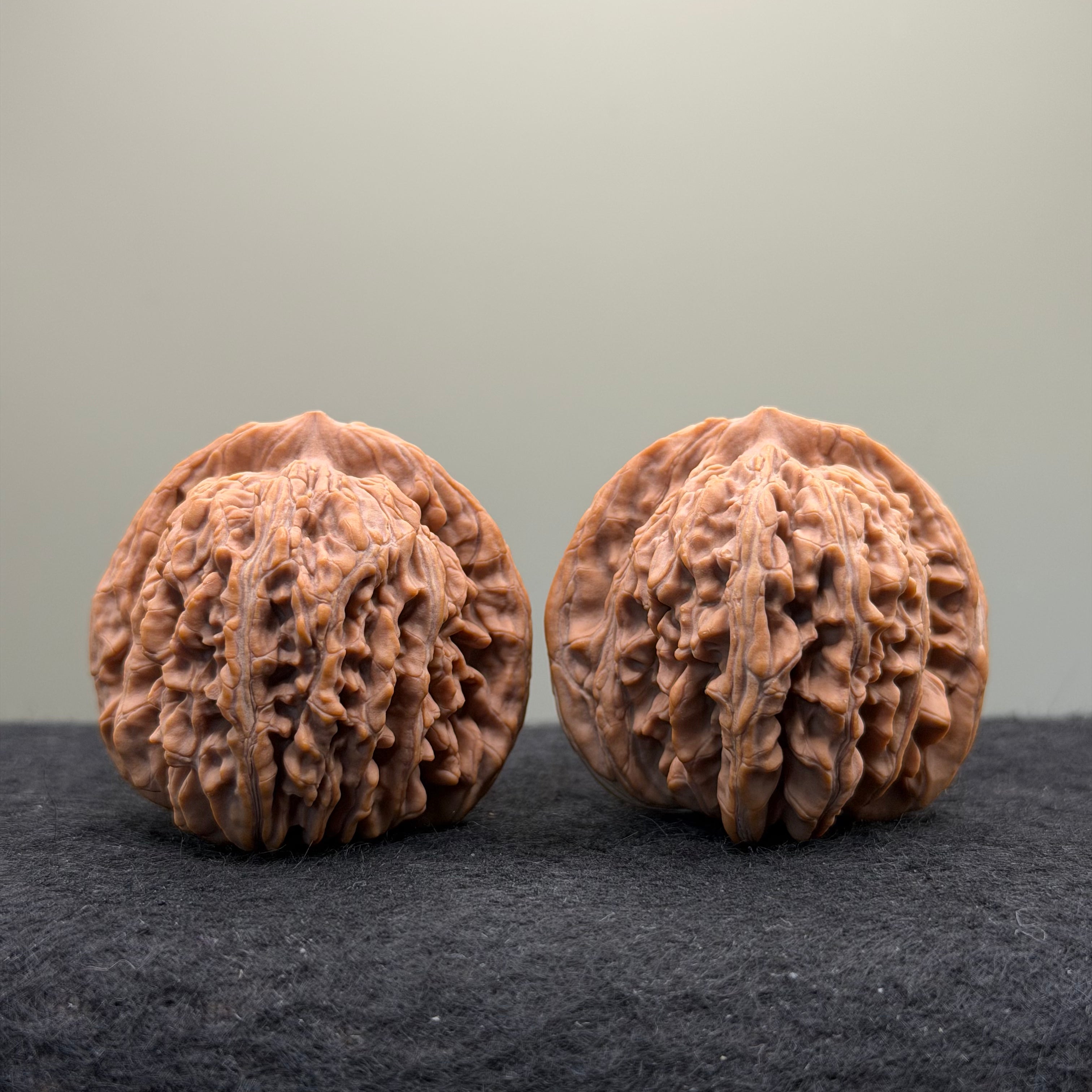 Four Towers Wenwan Walnut · 44mm · Natural · Premium Ritual
