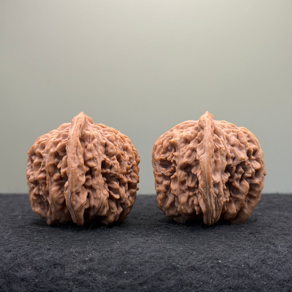 Four Towers Wenwan Walnut · 44mm · Natural · Premium Ritual