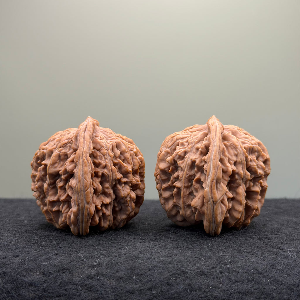 Four Towers Wenwan Walnut · 44mm · Natural · Premium Ritual