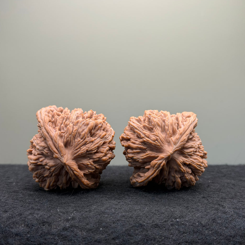 Four Towers Wenwan Walnut · 44mm · Natural · Premium Ritual