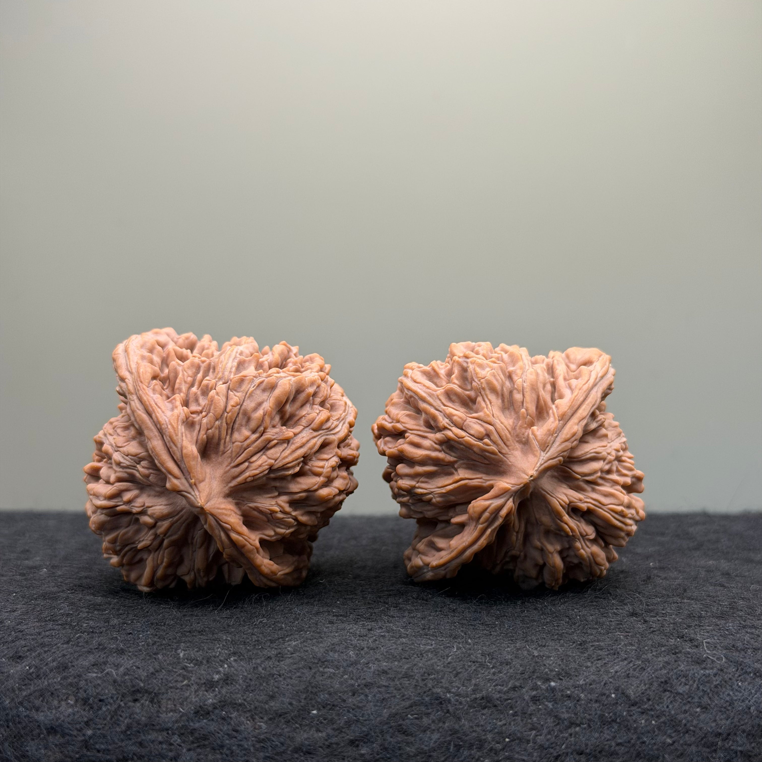 Four Towers Wenwan Walnut · 44mm · Natural · Premium Ritual