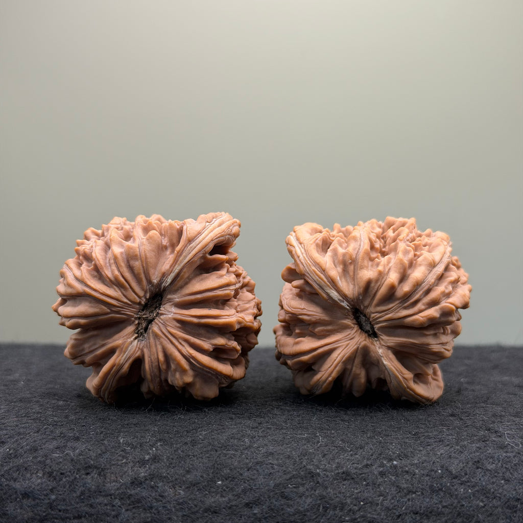 Four Towers Wenwan Walnut · 44mm · Natural · Premium Ritual