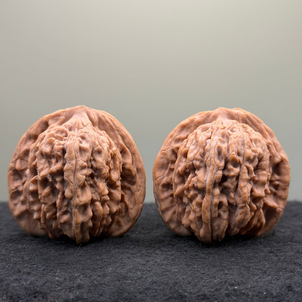Four Towers Wenwan Walnut · 43mm · Natural · Premium Ritual