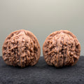 Four Towers Wenwan Walnut · 43mm · Natural · Premium Ritual