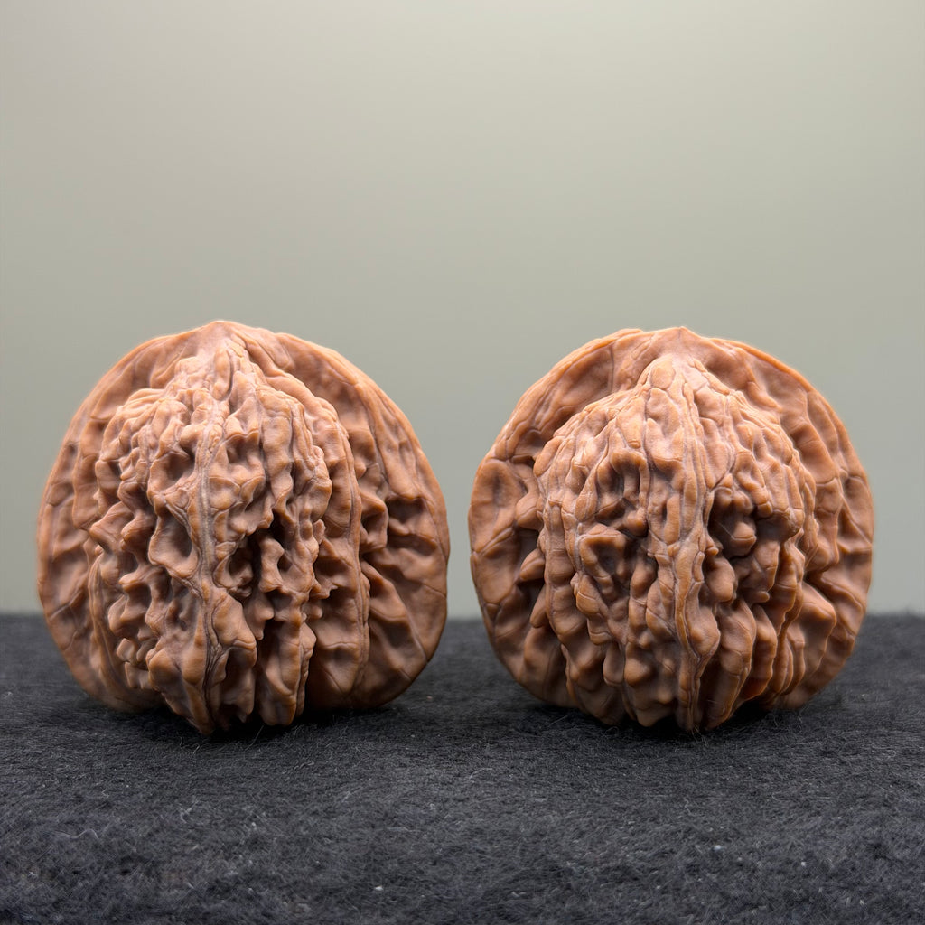 Four Towers Wenwan Walnut · 43mm · Natural · Premium Ritual