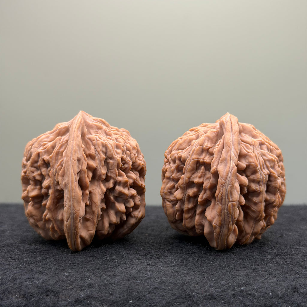 Four Towers Wenwan Walnut · 43mm · Natural · Premium Ritual
